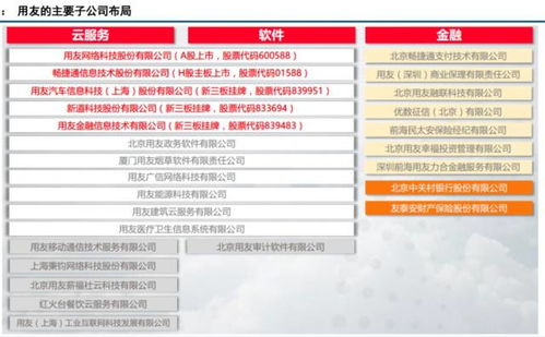 30年的積累，就等這刻爆發(fā)——軟件服務的變革與機遇